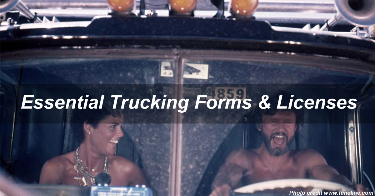 Brass Tax: Essential Trucking Forms & Licenses, Personal Training, positive coaching and nutritional direction, Tc3fitness